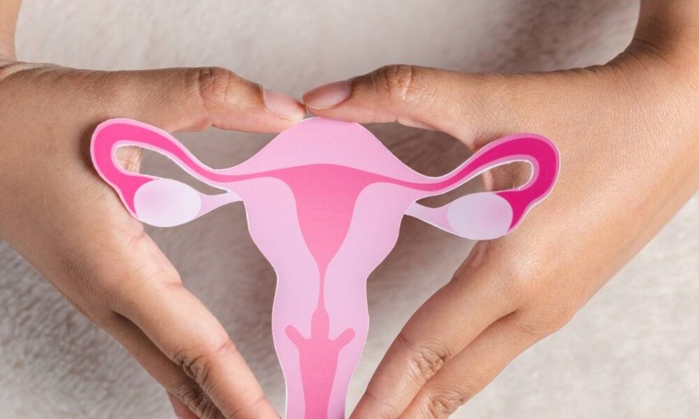 Vaginal Dryness Treatment — Causes, Symptoms & Best Solutions